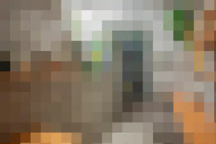Papenweg 5 Mheer thumbnail 18