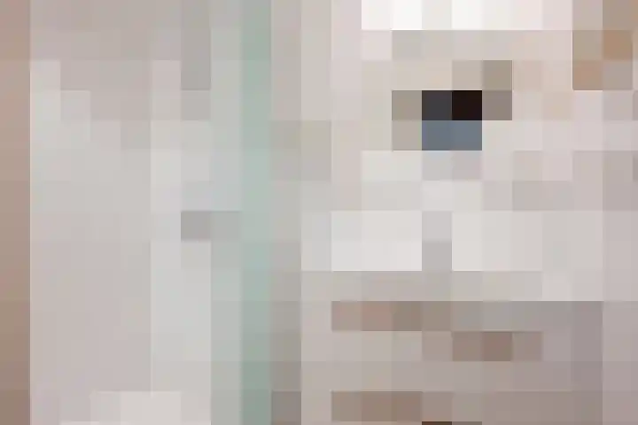 Papenweg 5 Mheer thumbnail 22