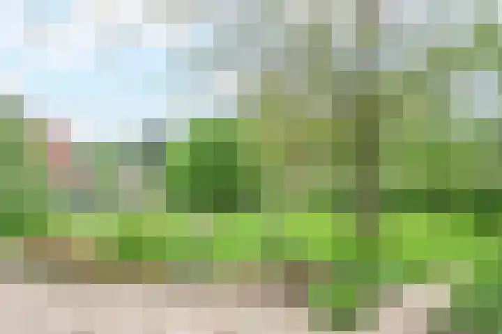 Papenweg 5 Mheer thumbnail 28
