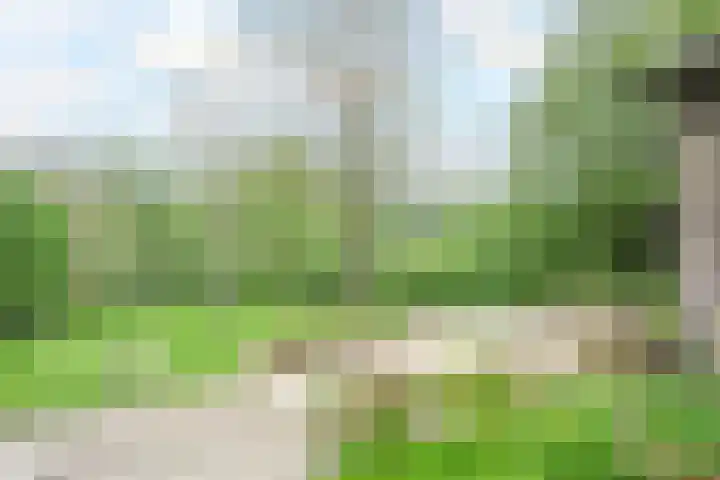Papenweg 5 Mheer thumbnail 29