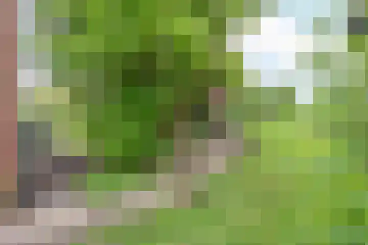 Papenweg 5 Mheer thumbnail 30
