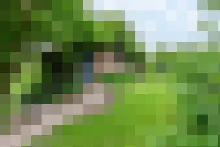 Papenweg 5 Mheer thumbnail 31