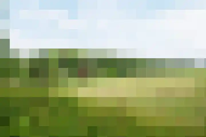 Papenweg 5 Mheer thumbnail 37