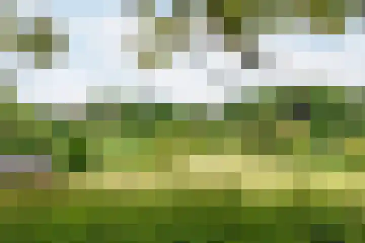 Papenweg 5 Mheer thumbnail 38