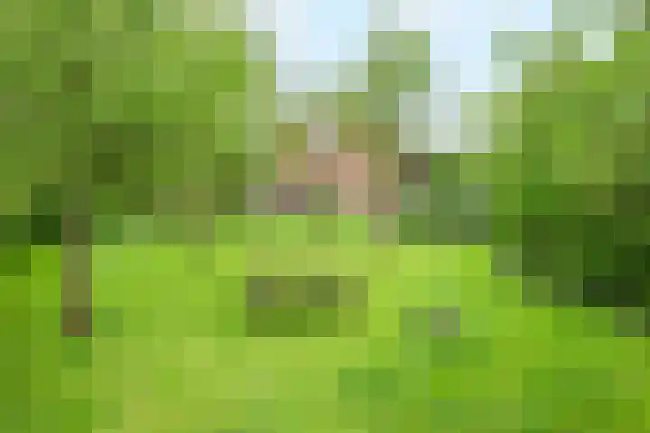 Papenweg 5 Mheer thumbnail 39