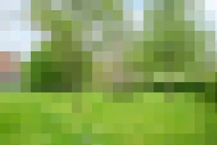 Papenweg 5 Mheer thumbnail 40