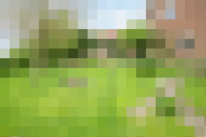 Papenweg 5 Mheer thumbnail 41