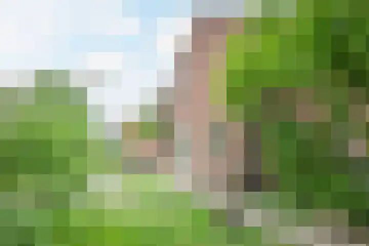 Papenweg 5 Mheer thumbnail 42