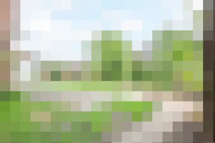 Papenweg 5 Mheer thumbnail 43