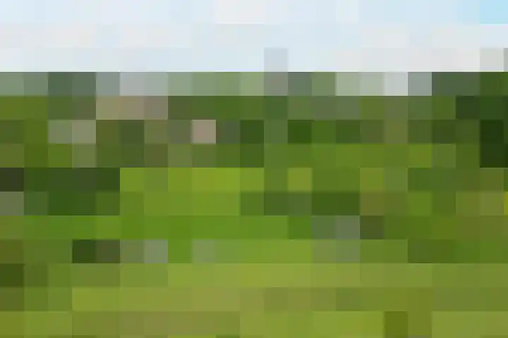 Papenweg 5 Mheer thumbnail 44