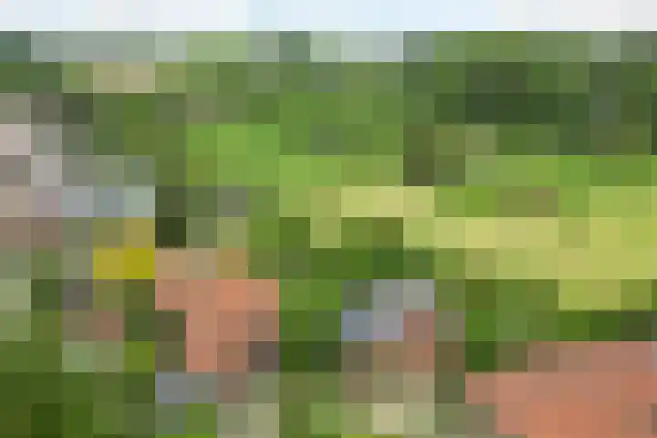 Papenweg 5 Mheer thumbnail 45