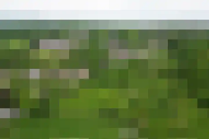 Papenweg 5 Mheer thumbnail 46