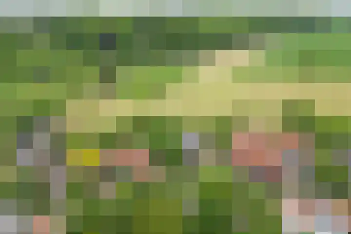 Papenweg 5 Mheer thumbnail 47