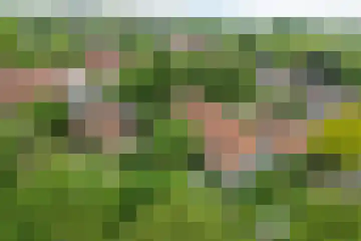 Papenweg 5 Mheer thumbnail 48