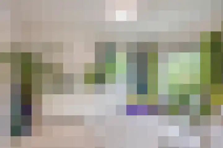 Papenweg 5 Mheer thumbnail 7