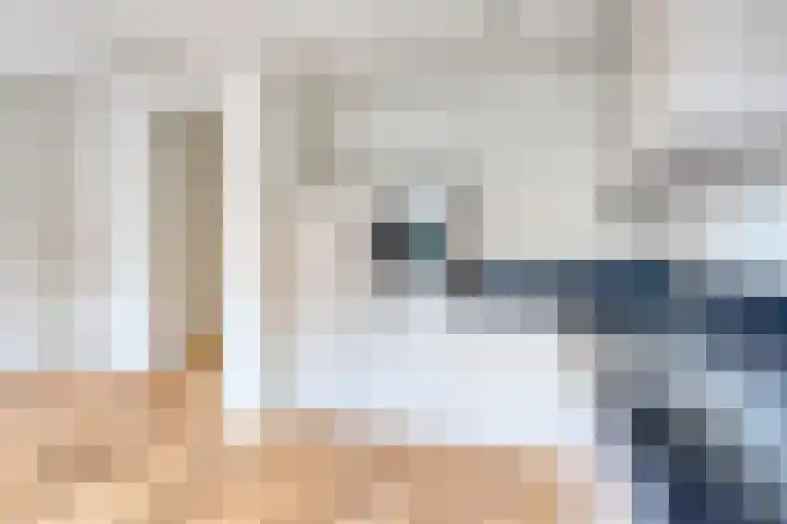 Papenweg 52 Maastricht thumbnail 8