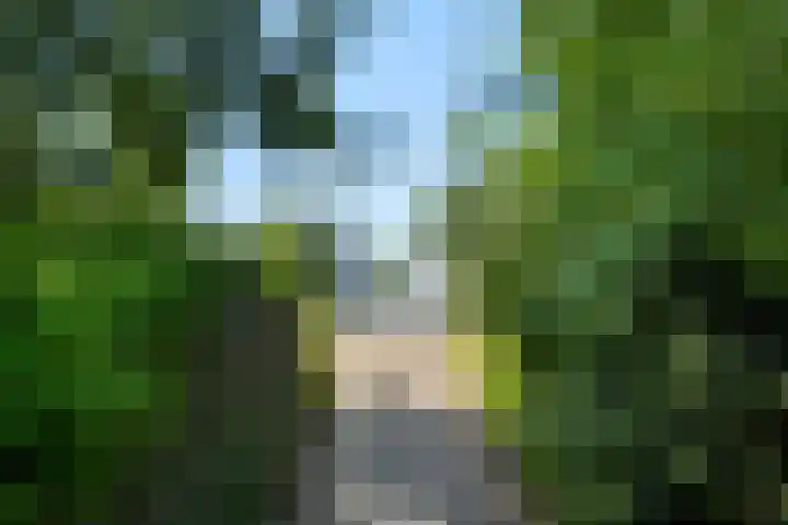 Papenweide 18 Hellevoetsluis thumbnail 41