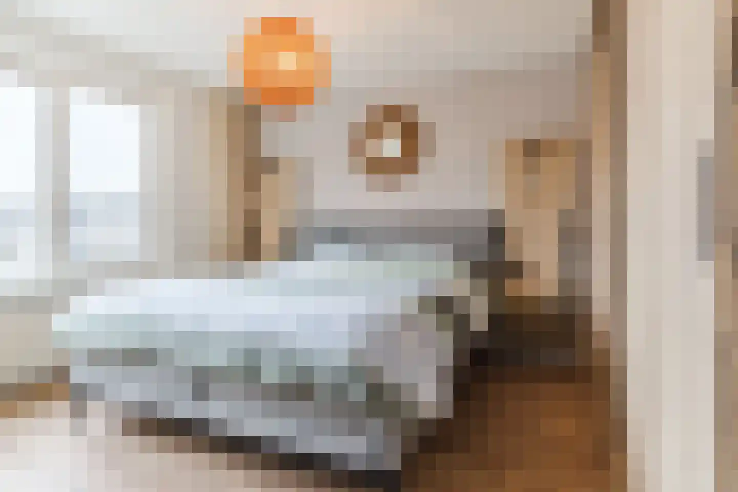 Papesteeg 69 Tiel thumbnail 14