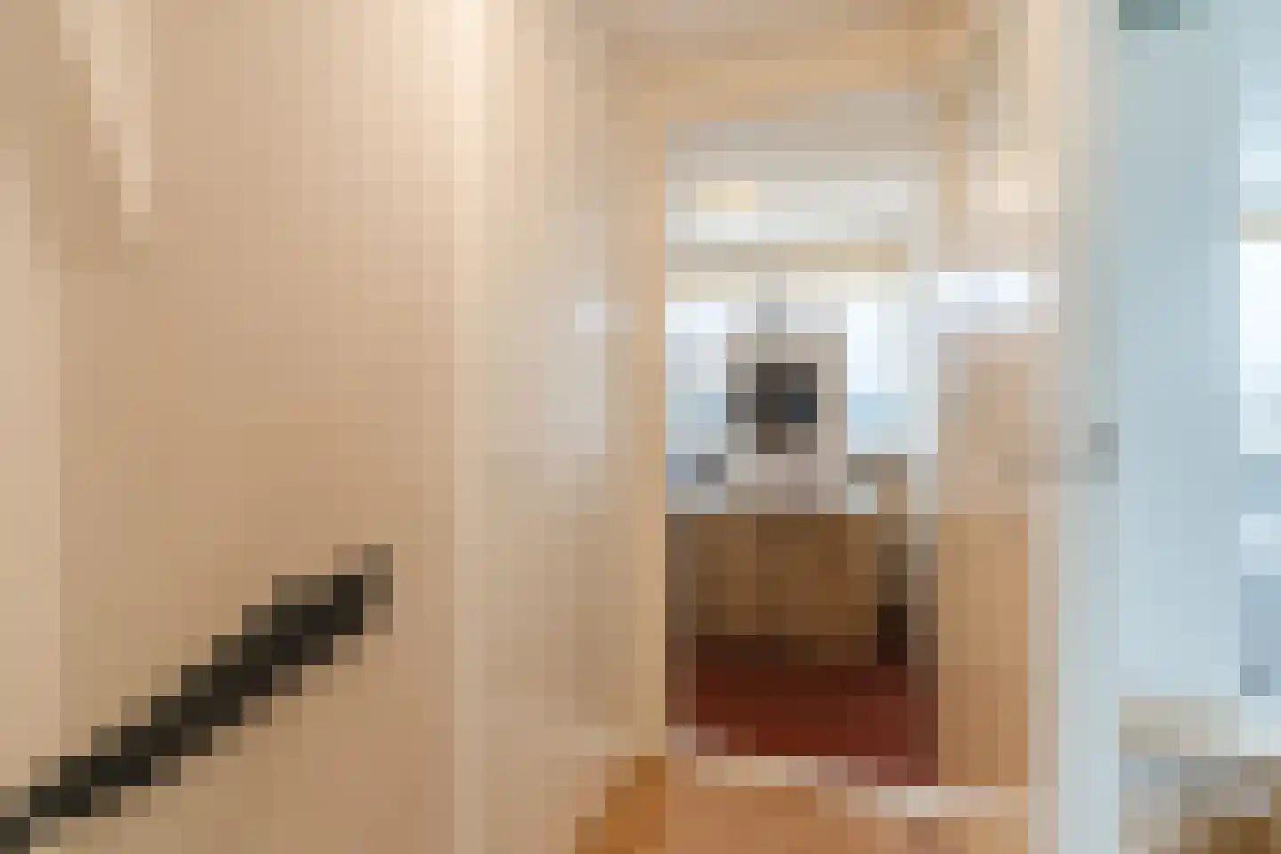 Papesteeg 69 Tiel thumbnail 23