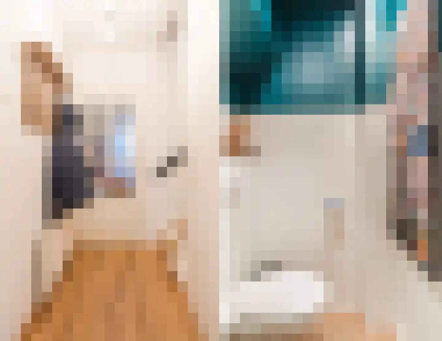 Papesteeg 69 Tiel thumbnail 6