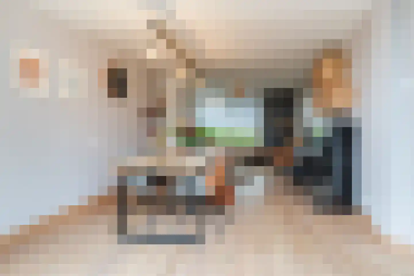 Papesteeg 69 Tiel thumbnail 7