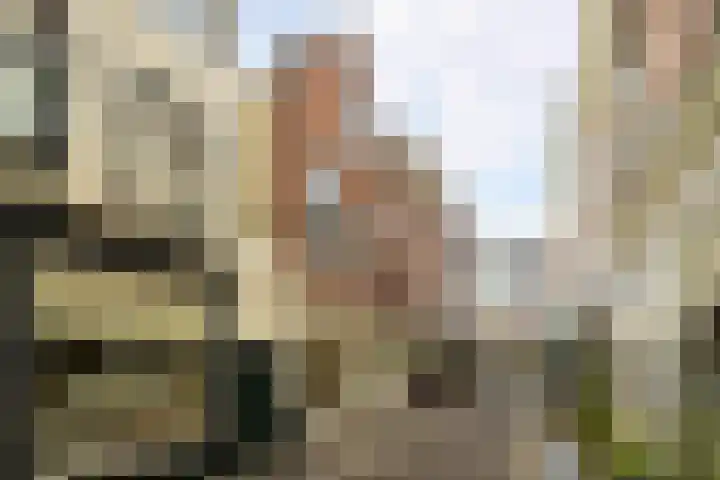 Papestraat 22 A in Den Haag