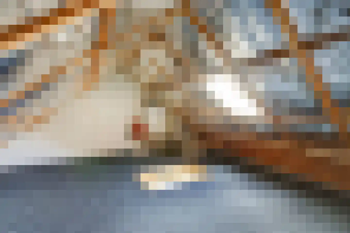 Papeterspad 28 Dordrecht thumbnail 35