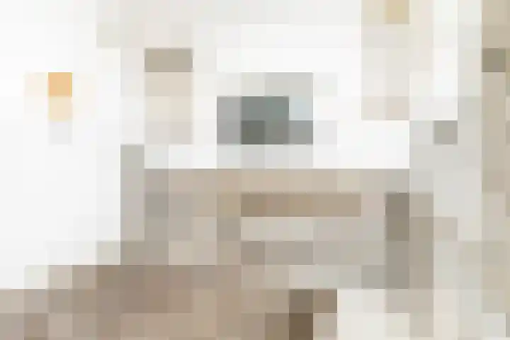 Papeweer 1 Raamsdonksveer thumbnail 10