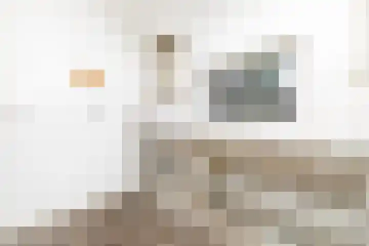 Papeweer 1 Raamsdonksveer thumbnail 11