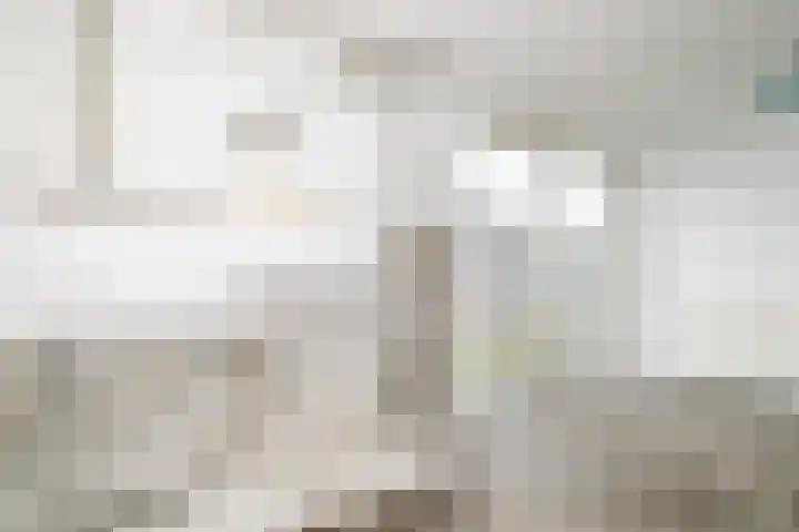 Papeweer 1 Raamsdonksveer thumbnail 12