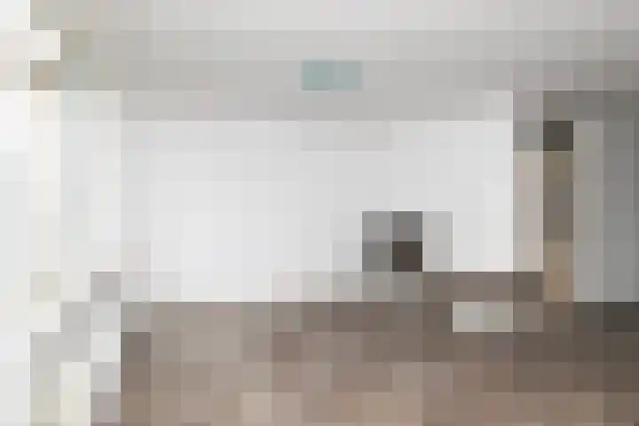 Papeweer 1 Raamsdonksveer thumbnail 15