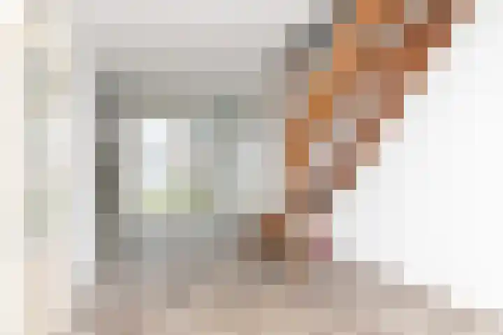 Papeweer 1 Raamsdonksveer thumbnail 19
