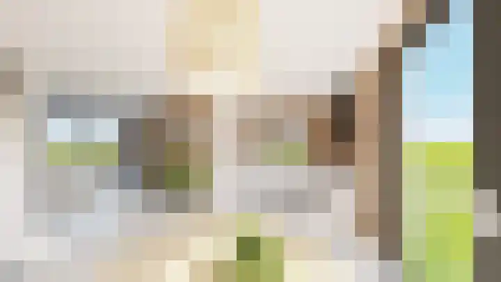 Papeweer 1 Raamsdonksveer thumbnail 21
