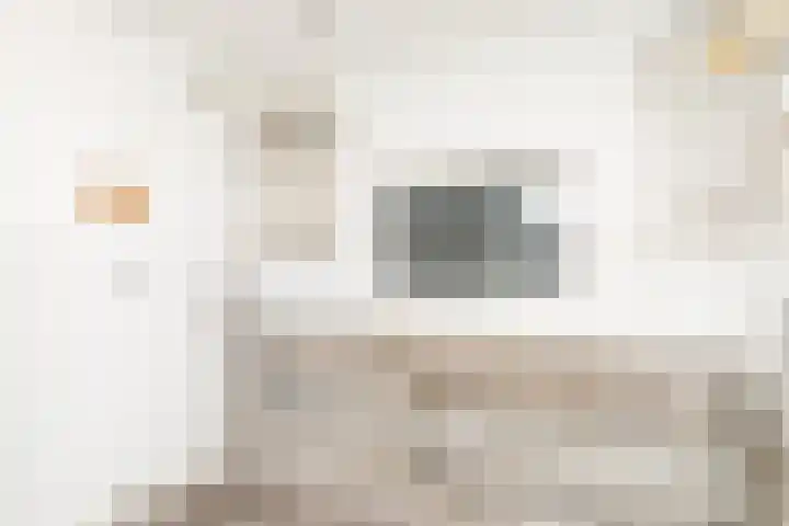 Papeweer 1 Raamsdonksveer thumbnail 22