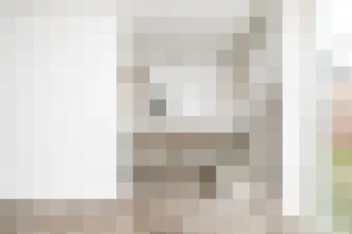 Papeweer 1 Raamsdonksveer thumbnail 23