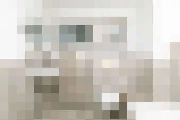 Papeweer 1 Raamsdonksveer thumbnail 34