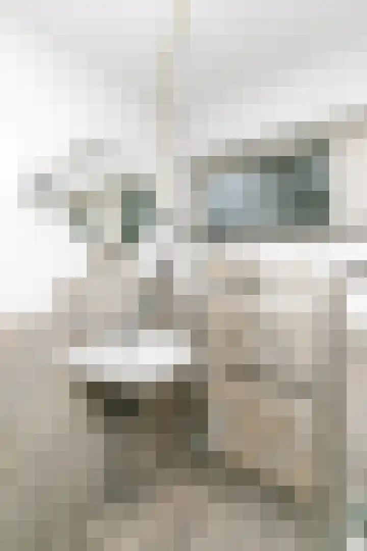 Papeweer 1 Raamsdonksveer thumbnail 37