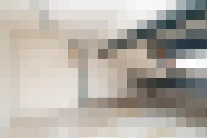 Papeweer 1 Raamsdonksveer thumbnail 39