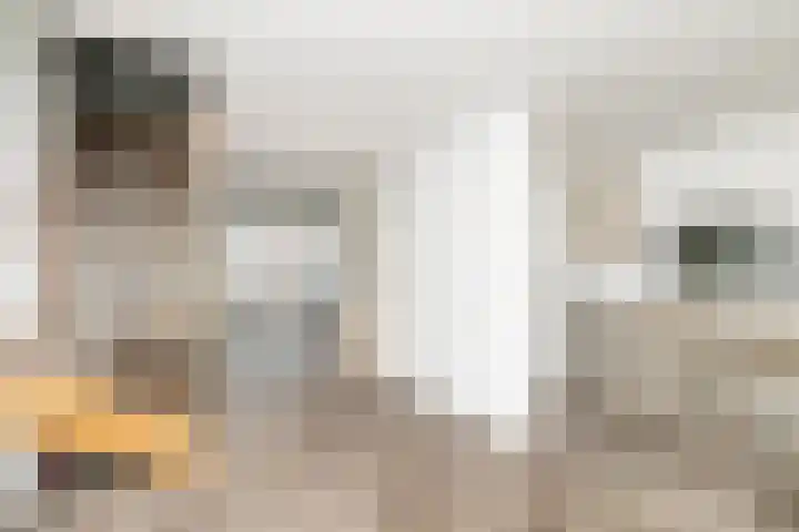 Papeweer 1 Raamsdonksveer thumbnail 4