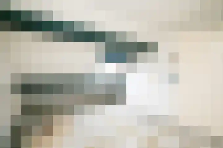 Papeweer 1 Raamsdonksveer thumbnail 40