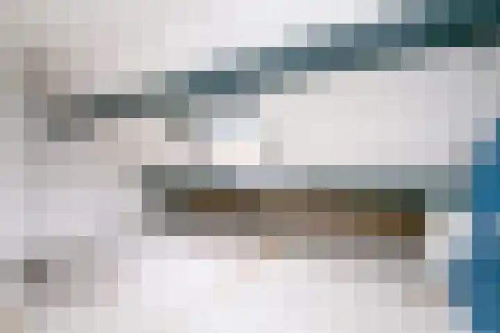 Papeweer 1 Raamsdonksveer thumbnail 41