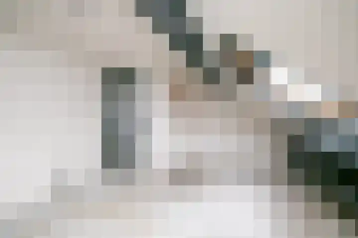 Papeweer 1 Raamsdonksveer thumbnail 42