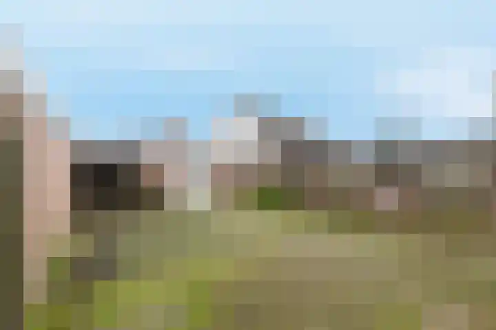 Papeweer 1 Raamsdonksveer thumbnail 43
