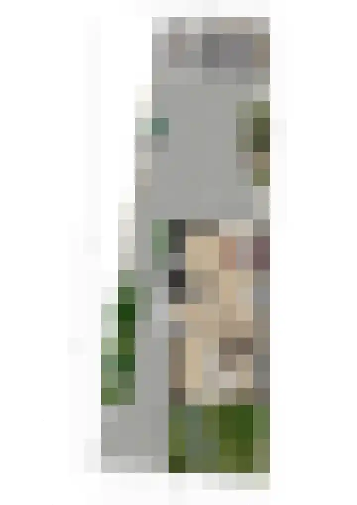 Papeweer 1 Raamsdonksveer thumbnail 46
