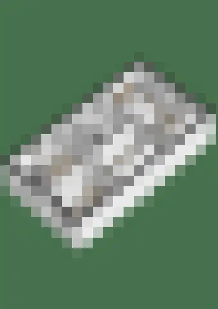 Papeweer 1 Raamsdonksveer thumbnail 52