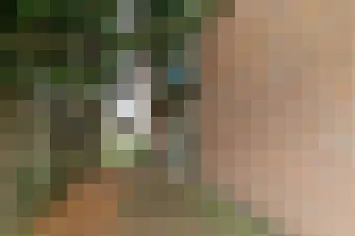 Papeweer 1 Raamsdonksveer thumbnail 7
