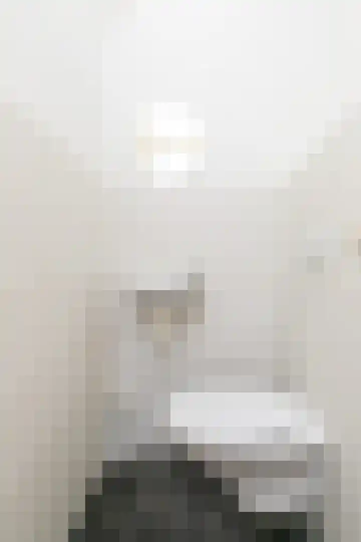 Papeweer 1 Raamsdonksveer thumbnail 9