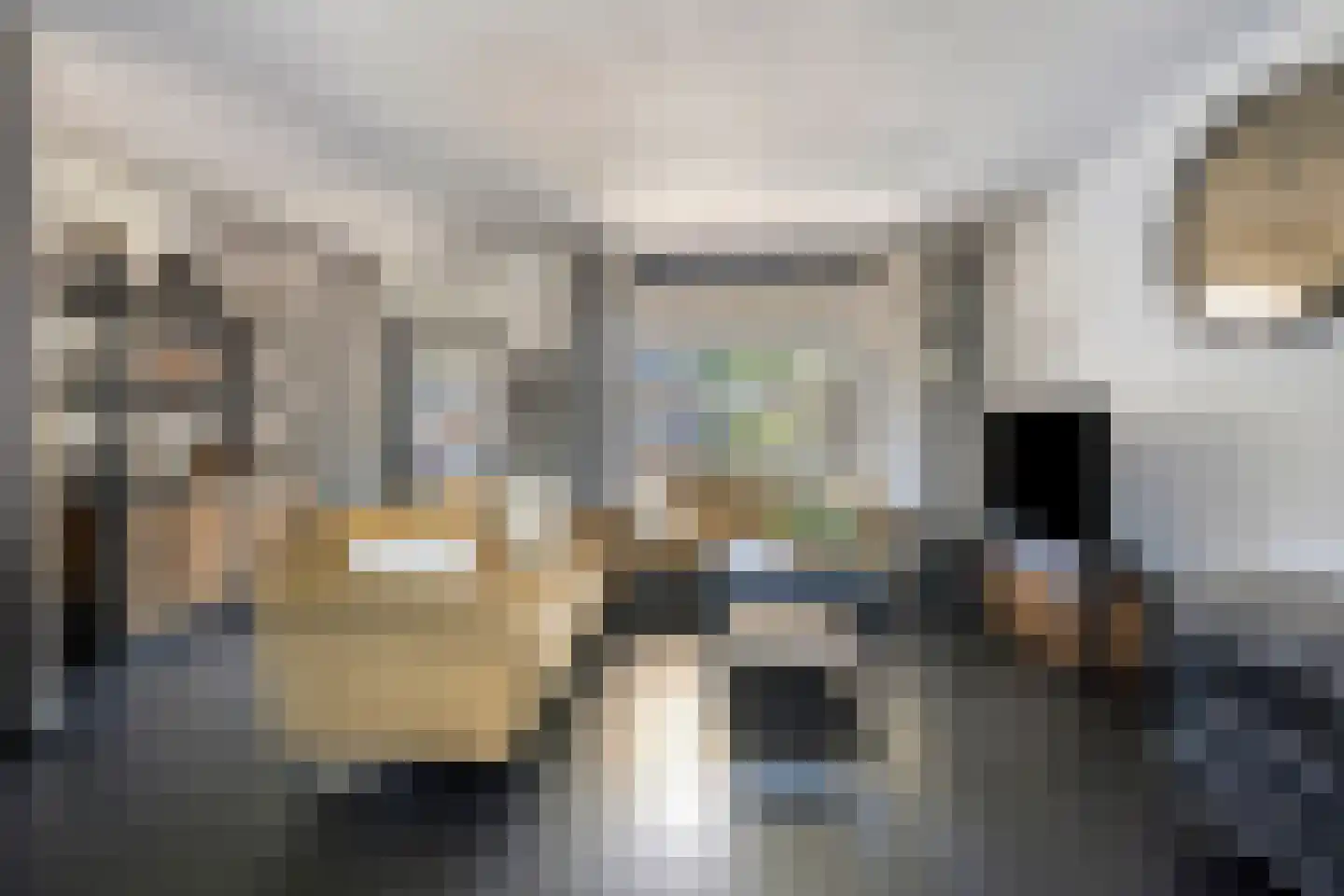 Papeweer 21 Raamsdonksveer thumbnail 17