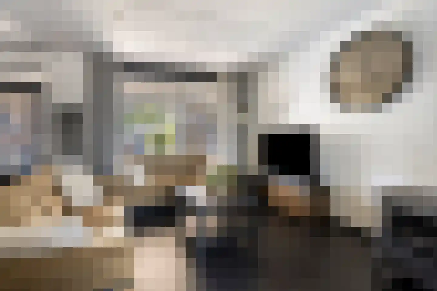 Papeweer 21 Raamsdonksveer thumbnail 18