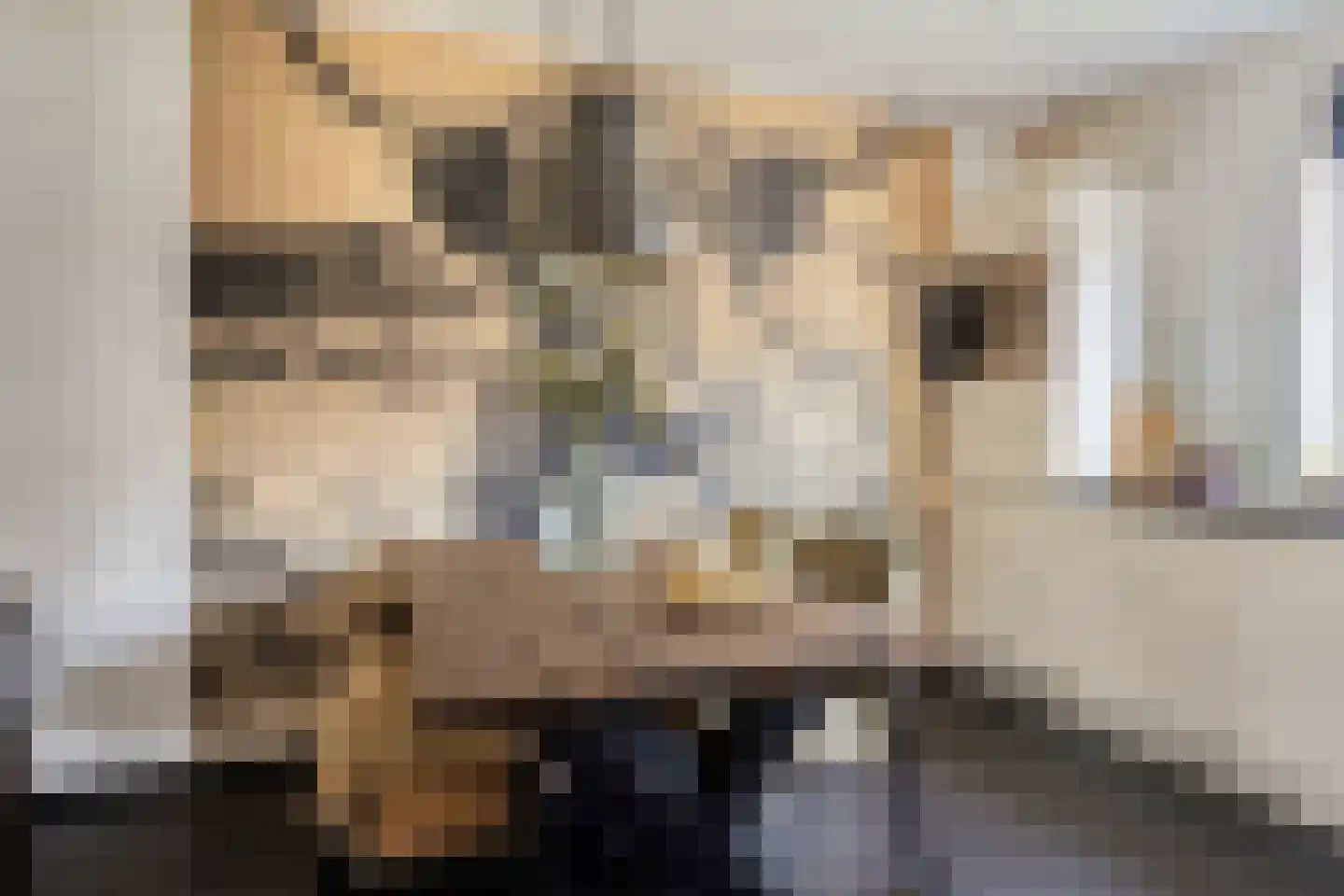 Papeweer 21 Raamsdonksveer thumbnail 23